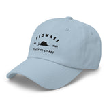 Dad Hat Sailfish